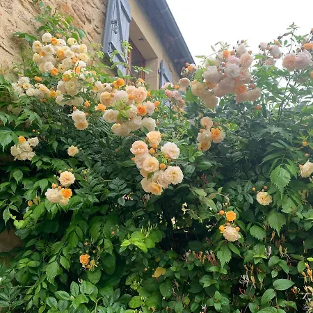 Ferienhaus La Riviere Esperance Veyrignac