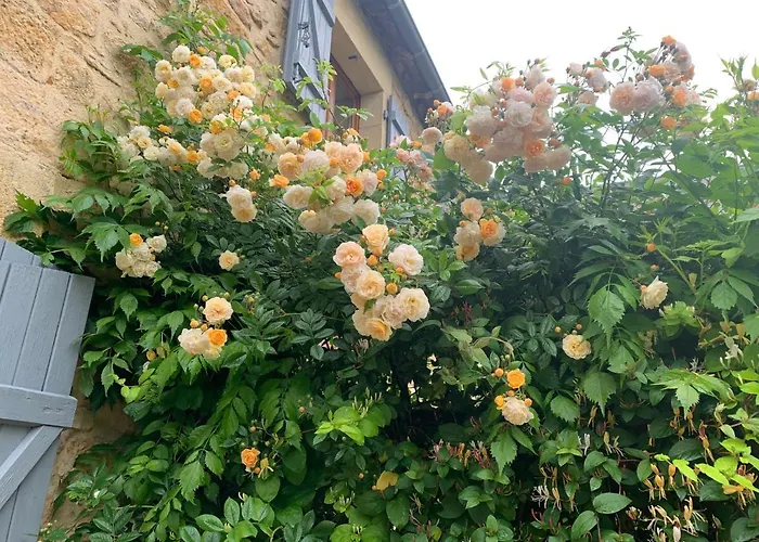 Vakantiehuis La Riviere Esperance Veyrignac