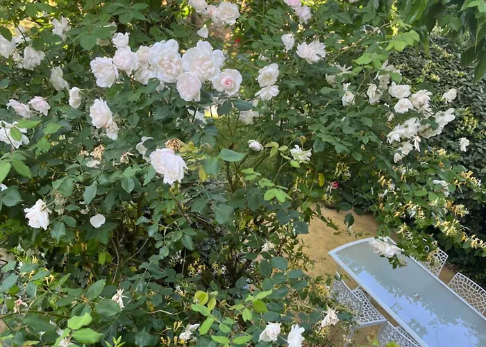 Prázdninový dům La Riviere Esperance